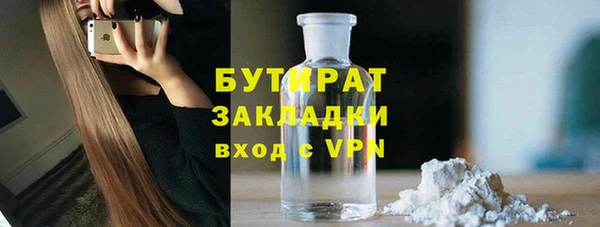 шишки Медвежьегорск