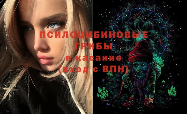 шишки Медвежьегорск
