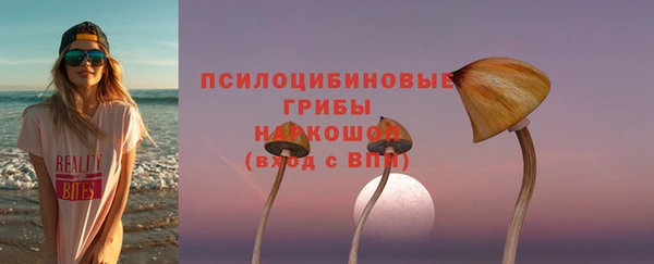 шишки Медвежьегорск