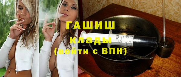 шишки Медвежьегорск