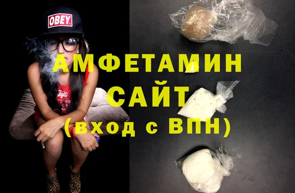 шишки Медвежьегорск