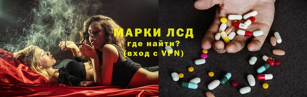 шишки Медвежьегорск