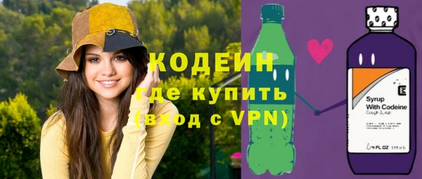 шишки Медвежьегорск