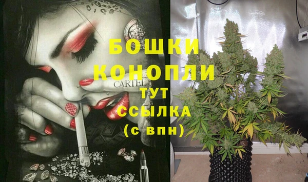 MDMA Медногорск