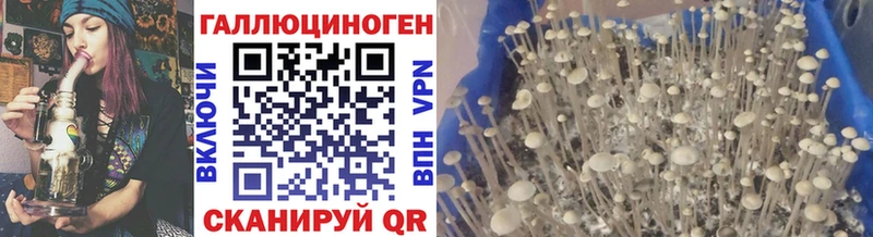 купить наркоту  Уфа  Псилоцибиновые грибы прущие грибы 